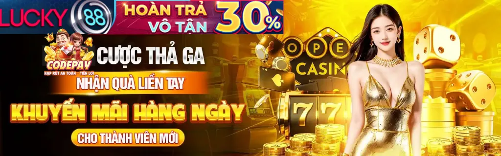 Liên hệ qua email hỗ trợ